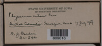Image Associated With the Occurence